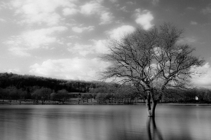 2018_03_24_lac de panneciere (0041).jpg - Lac de Pannecière (mars 2018)